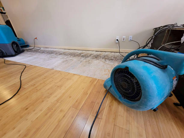 Professional Flood Damage Cleanup technician working in Chapman Ranch, TX